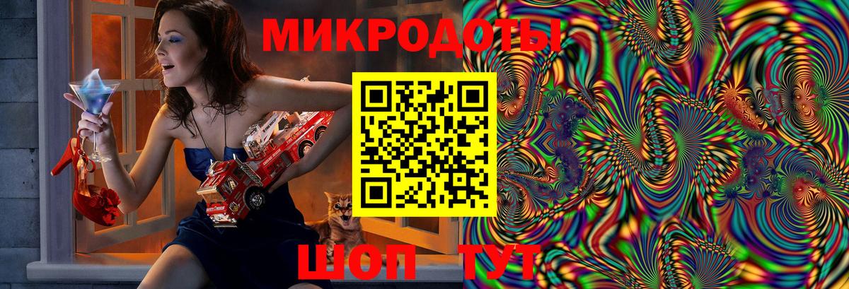 Галлюциногенные грибы Psilocybe Корсаков